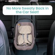 Maxi Cosi Newborn Insert