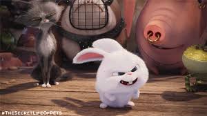 White rabbit with pink ears. Secret Life Of Pets Gifs Get The Best Gif On Giphy