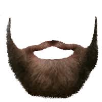 Beard Style Png Beard Brotherhood Amish beard, chin curtain, donegal, lincoln, spade beard, and whaler. beard style png beard brotherhood