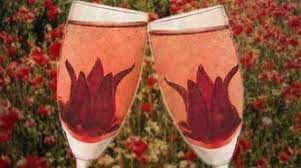 They are cooked in the jar and vacuum sealed which gives them a long shelf life. Wild Hibiscus Flowers In Syrup Nz Hibiscus Flowers In Champagne Nz Buy Online
