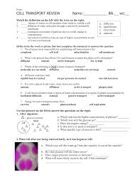 Complete the table by checking (✔) the correct column for each statement mod ejo 2018. Cell Transport Worksheet
