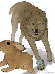 Wolfs Rain Anime Toboe Is The Wolf | Wolf's Rain, Furry Pics, Anime Wolf