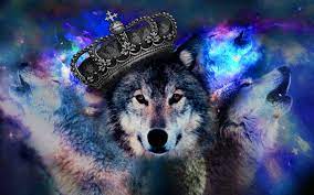 Game of thrones season 8 phone wallpaper. Cool Wolf Wallpaper Desktop Kolpaper Awesome Free Hd Wallpapers