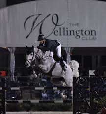 She predominantly works in the field of procurement law and general civil law. Shane Sweetnam Schnappt Martin Fuchs Den Sieg Im 401 000 Dollar Grand Prix In Wellington Weg Spring Reiter De
