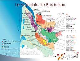 Wine Tour Seminaire Et Evenementiel Vignoble De Bordeaux Pauillac