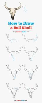 Bull skull tattoos can symbolize both death and strength. How To Draw Bull Skull Easy Cow Skull Drawing Hd Png Download Kindpng
