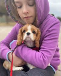 Cavaliers Of Castlemar (@cavaliersofcastlemar) • Instagram photos and videos