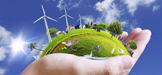 Biyogaz Yenilenebilir Enerji midir? | Pales Biogas