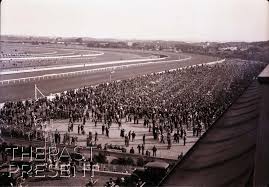 Gai waterhouse has paid a whopping $7.3 million for a house backing onto randwick racecourse. Randwick Race Course The Past Present