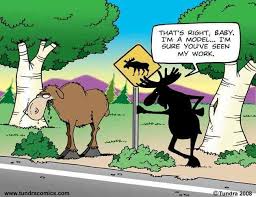 Tundra Comics Timeline Photos Facebook Funny Moose Moose Pictures Animal Crossing