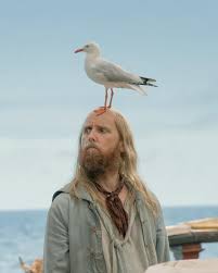 Season 3 theory: Buttons will be the new Karl : r/OurFlagMeansDeath