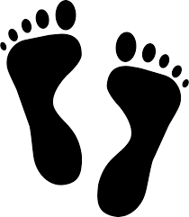 Facades body animal models 01. Footprint Clipart Human Footprint Footprint Human Footprint Transparent Free For Download On Webstockreview 2021