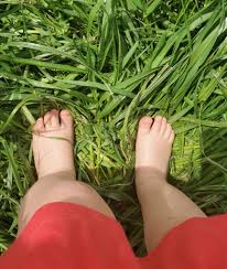 79 voters have answered this question. Care Of Earth Going Barefoot At Loretto Loretto Community