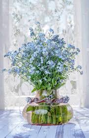 We did not find results for: Still Life Bouquet Of Field Blue Forget Me Not Flowers In A Glass Vase On The Background Of A Window With Tulle Opposite The Light Stock Photo Picture And Royalty Free Image Image 137273514