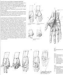 Kiri Adli Kullanicinin Character Anatomy Hands Panosundaki Pin El Cizimleri Cizim Cizilecek Seyler