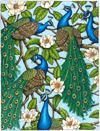 Pin Pa Peacock