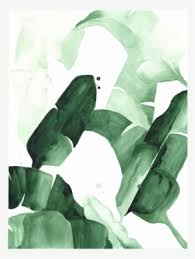 Search through our collections & bundles of watercolor drawings, doodles, sketches and so much more. Tropical Leaf Watercolor Png Watercolor Tropical Leaf Png Png Image Transparent Png Free Download On Seekpng