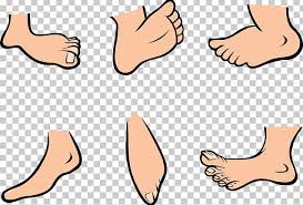 Foot Cartoon Png Clipart Abdomen Area Arm Cartoon Clip Art Free Png Download 131 видео 95 859 просмотров обновлен 10 июл. foot cartoon png clipart abdomen