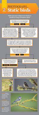 Free Bird Photography Cheat Sheet Part 2 Photography Settings Photography Techniques Wildlife Photography Tips