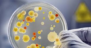 Anti dekubitus luftmatratze matratze schlauchmatratze wechseldruck krankenhaus. Wiedereinsatz Dekubitus Matratzen Muss Ich Angst Vor Kratze Oder Gar Im Schlimmsten Fall Mrsa Haben