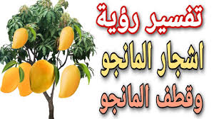 Maybe you would like to learn more about one of these? ØªÙØ³ÙŠØ± Ø±Ø¤ÙŠØ© Ø´Ø¬Ø± Ø§Ù„Ù…Ø§Ù†Ø¬Ùˆ ÙÙ‰ Ø§Ù„Ù…Ù†Ø§Ù… Ù…Ø§ Ù…Ø¹Ù†Ù‰ Ø±Ø¤ÙŠØ© Ù‚Ø·Ù Ø§Ù„Ù…Ø§Ù†Ø¬Ùˆ Ù…Ù† Ø§Ù„Ø´Ø¬Ø± ÙÙ‰ Ø§Ù„Ø­Ù„Ù… Youtube