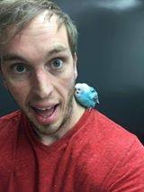 Bald with a Red Winged escort (in the rain). Lacey WA.