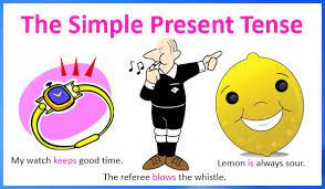 Yuk, kita mulai materi pelajaran dalam membuat suatu kalimat simple present tense dalam bentuk positif, kita menggunakan v1 yang di letakkan setelah subjek dan biasanya di. 33 Contoh Kalimat Simple Present Tense Positif Negatif Tanya