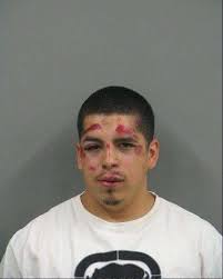 Brothers charged with mob action after Villa Park fight