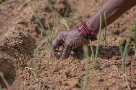 What Problems Did Farmers Face In The 1800S? - Quora