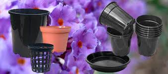 Maybe you would like to learn more about one of these? Nursery And Garden Supplies Australia
