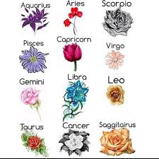 Mi Piace 335 Commenti 9 Astrology Zodiacsign Astrology Zodiacsign Su Instagram Flowers Astro Zodiac Sign Fashion Zodiac Sign Tattoos Zodiac Signs