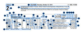 29 unfolded daily racing form results chart