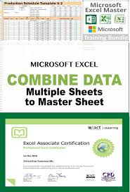 Excel Formula Function Vba Macro Pivot Chart Analysis