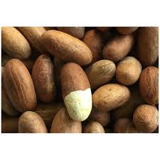 Image result for Cola pierlotii