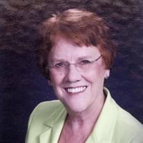 Shirley Ann Schuessler Obituary (2024)