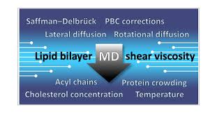 Aspirin Inhibits Formation Of Cholesterol Rafts In Fluid Lipid Membranes -  Sciencedirect