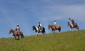 There are plenty of options for those looking to enjoy a trail ride alone, with a loved one, or even with the whole family. Pin On My Dream Vacations