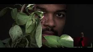 Atwood Magazine's Top Artist Discoveries of 2020