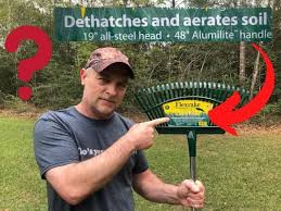 When should i dethatch my lawn? Can You Dethatch A Lawn With A Leaf Rake Dethatching Options Thriving Yard