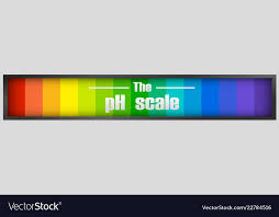 The Ph Scale Diagram