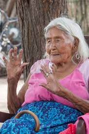 Rosa grilo terá «plantado», com a ajuda do alegado amante, o telemóvel do marido na berma de uma estrada para enganar a polícia. Rosa Grilo Gerontology Wiki Fandom