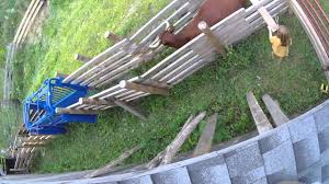 Small herd cattle corral designs. Cattle Corral In Action Youtube