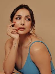 Malaika arora चा एक इतका ट्रान्सपरेंट ड्रेस की….|