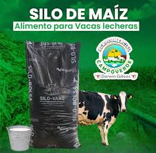 Profile for Agro Campo Verde