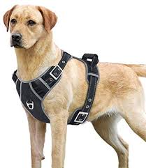 Auditlok xl parts are no longer available. Idepet No Pull Dog Harness With Handle Adjustable Reflective Pet Harness Vest Easy Control For Small Medium Large Dogs Training Walking Hiking Black Xl Pin Buckle Design Buy Online At Best Price In