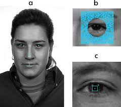 Facial Feature Detection with Optimal Pixel Reduction SVM