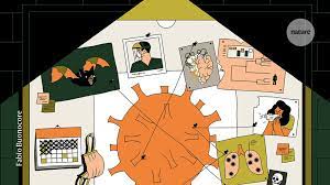 Animal cells are most likely to experience damage from. Profile Of A Killer The Complex Biology Powering The Coronavirus Pandemic