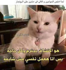 pin by doaa ahmad on arabic funny photo memes funny laugh fun quotes funny