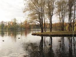 что такое осень это небо плачущее небо под ногами Osen Eto Nebo Plachushee Nebo Pod Nogami Autumn Photography Etsy Blog Hello September