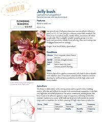 Maybe you would like to learn more about one of these? Bee Friendly A Planting Guide For European Honeybees And Australian Native Pollinators Milkwood Permaculture Courses Skills Stories